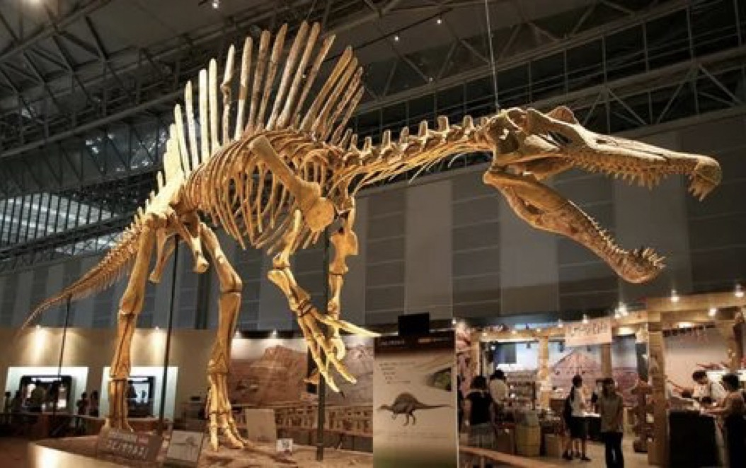 Спинозавр – один из древнейших видов динозавров