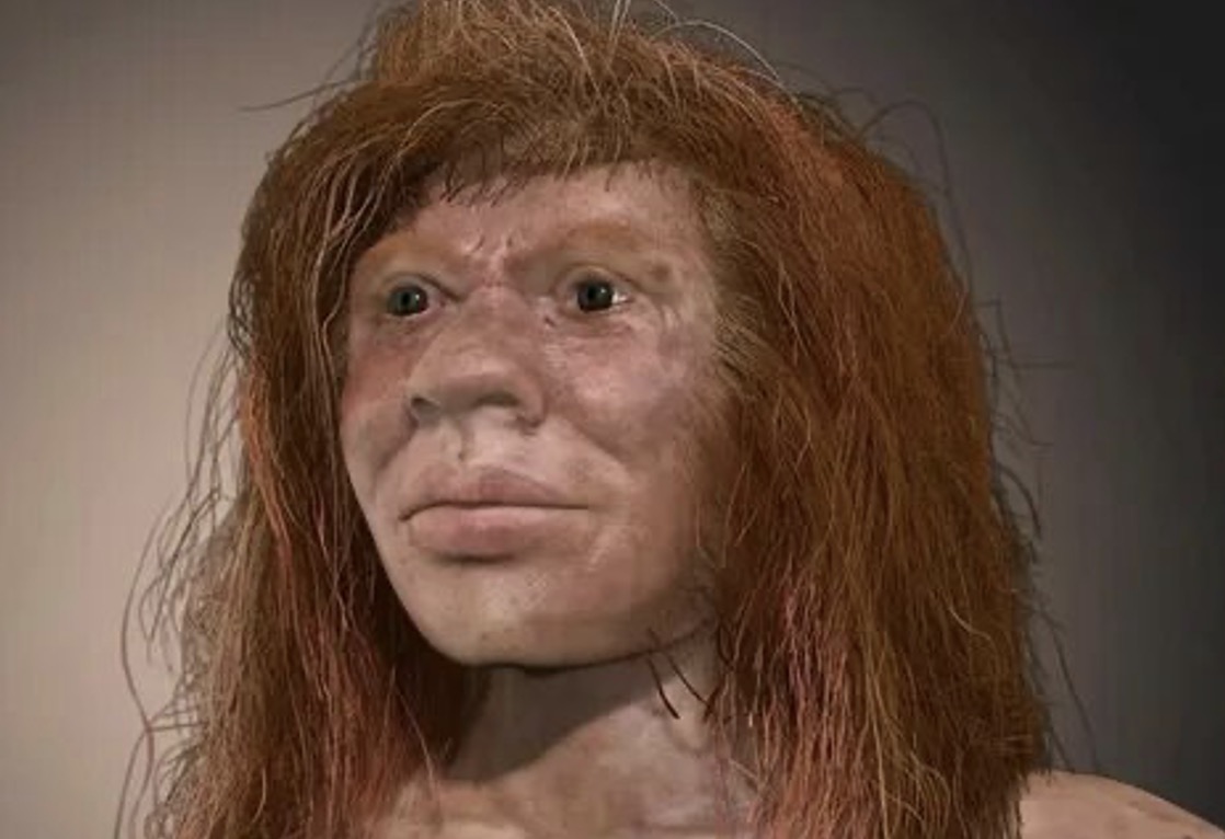 Неандерталец (реконструкция)