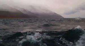 Защищаешь Байкал? Значит – иноагент!