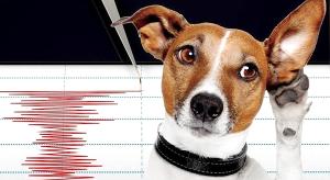 Предупреждая опасные природные явления