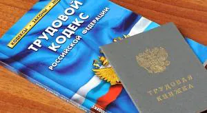 Минтруд на подхвате у ФНС