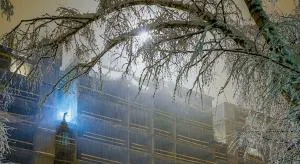 Ждём-с! С замиранием сердца…