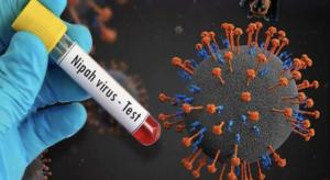 Мигранты микроскопические