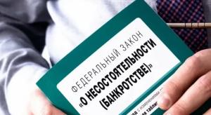 Депутаты спорят о рисках банкротства