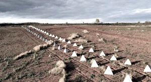 Коррупционный бизнес-проект