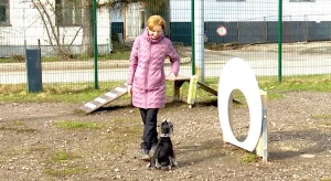 Жизнь собачья