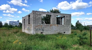 Куда качнуло ИЖС?