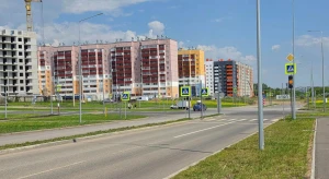 Радует не только глаз