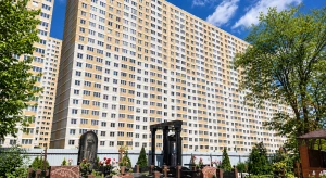 А Васька кушает да... строит человейники!