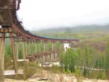 Сплошная вырубка ради БАМа