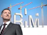 BIM-прихватизация