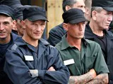 Опрос не в пользу гастрабайтеров
