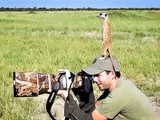 Не видишь суслика? А он есть!