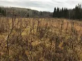 Пустуют 5,7 тысячи участков для застройки