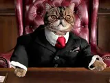 Абсолютные наглецы эти жирные коты!