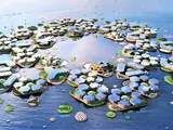 Город в Японском море