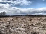 Земля не должна пустовать!