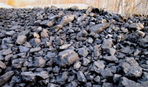 Как образовался уголь