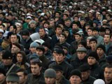 Много мигрантов хотят ВШЭвые учёные