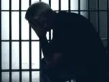 Липовые изыскания привели на нары