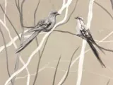 Уникальный акцент