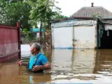 Кого озолотит высокая водица?