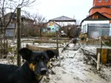 Кого озолотит высокая водица?