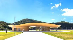 Проекты, которые удивляют