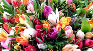 Как здорово, что есть особый день в году!