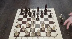 Защита Гельфанда