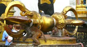 Пойдём ли мы по «пути богов»? – 2