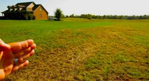 Проект «Земля для стройки» в действии