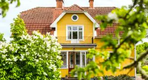 Советская власть плюс ИЖС для всей страны