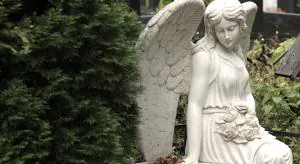 Могилы ждут инвестора