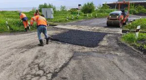 Вот так действенность! Браво, Палыч!