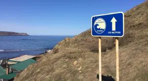 Низкий поклон врачам, строителям и властям!