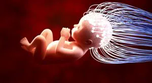 Зачатие состоялось, роды неизбежны!