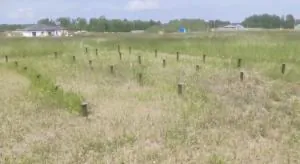 ИЖС закончилось… установкой свай