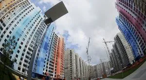 Золотая осень и золотые «квадраты»