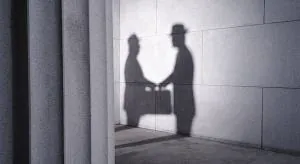 Из света в тень перелетая