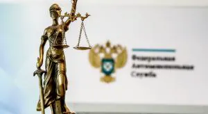 «Созидание» ФАСу в назидание