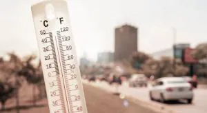 Смерть от жары и размер компенсации 