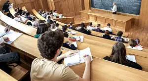 Архитекторов нужно поменьше! И не только их…