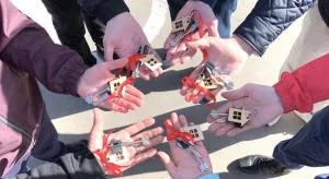 Сиротская десятина