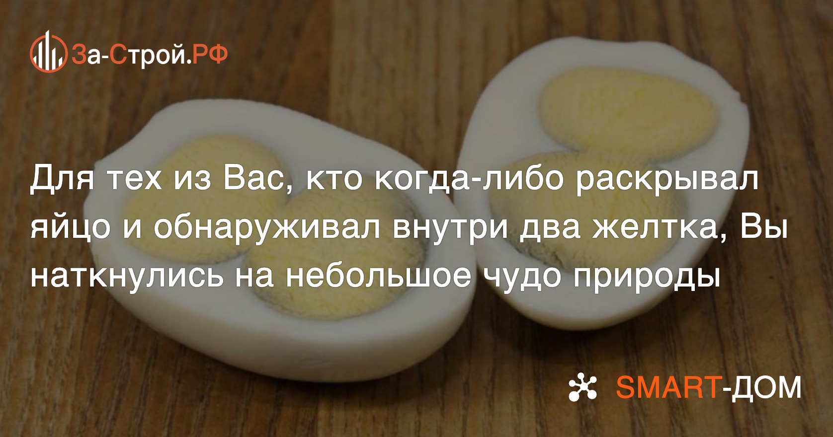 «Пусть они стухнут на прилавках». Жители ХМАО вновь обнаружили «золотые яйца»