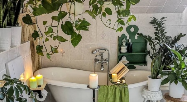 Украсьте ванную растениями