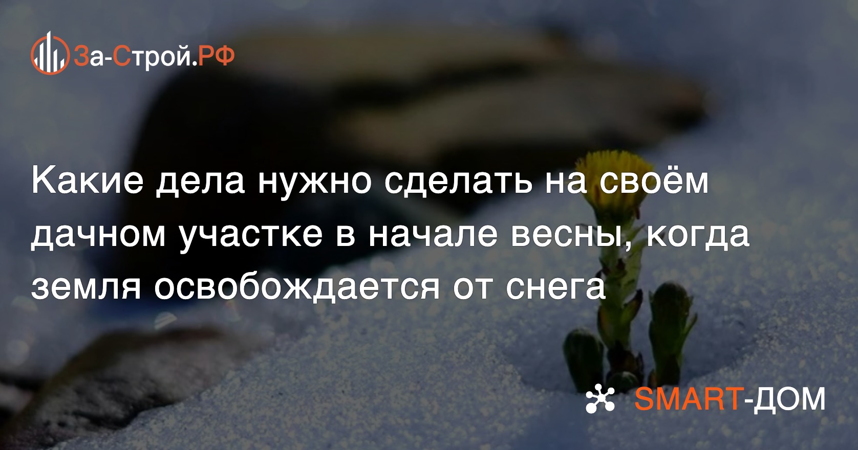 Какие работы необходимо провести на своём дачном участке в начале весны