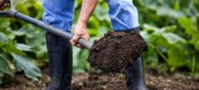 Подготовка почвы для огородных культур