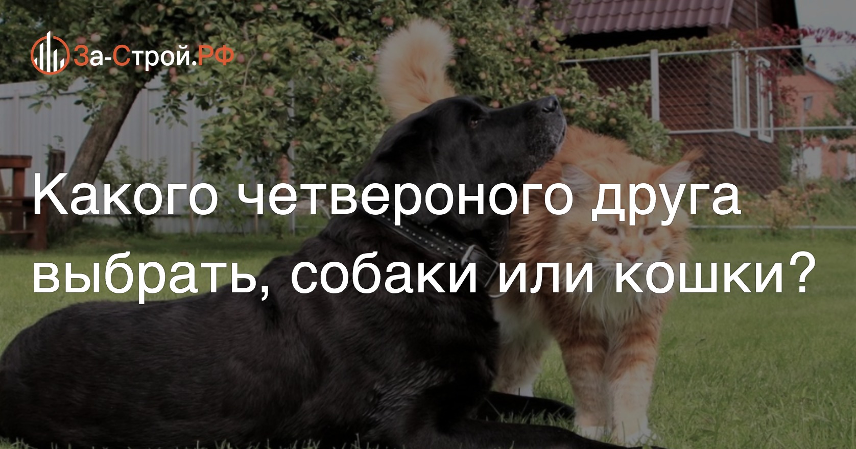 Что лучше для дома собака или кошка?