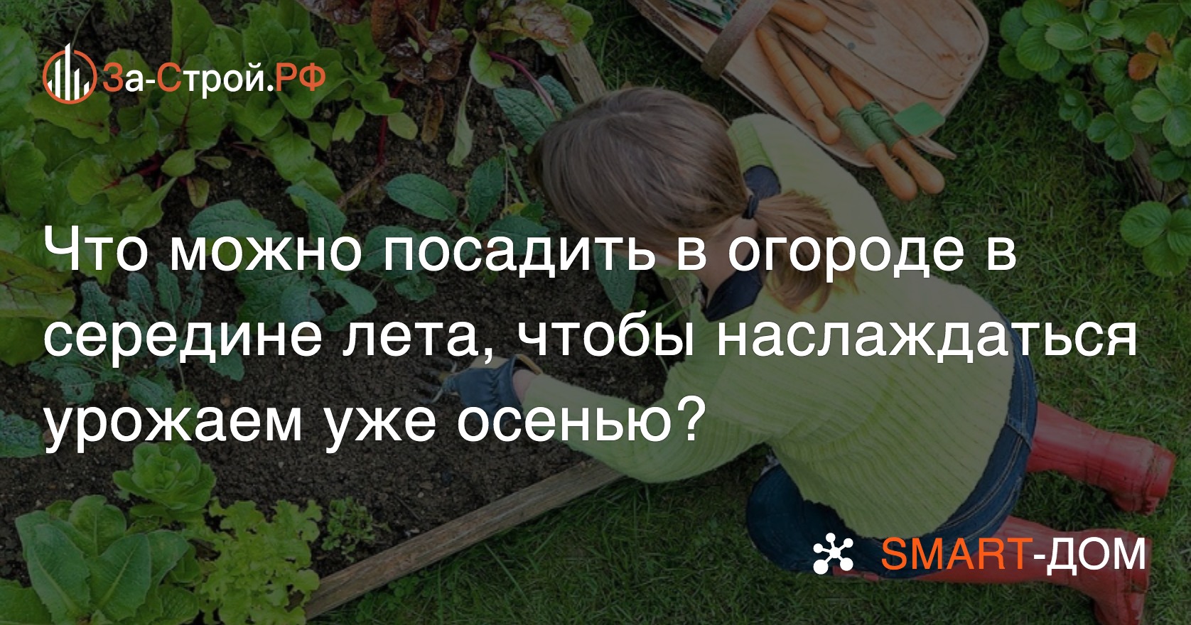 Что можно посадить в огороде в середине лета, чтобы наслаждаться уже осенью